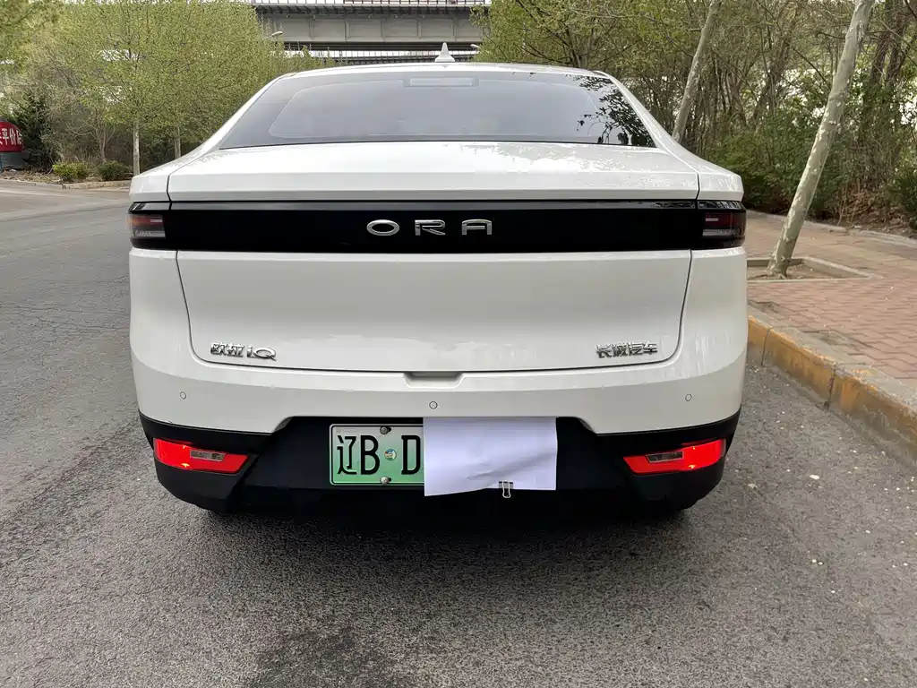 Ora Ora iQ — миниатюра 8