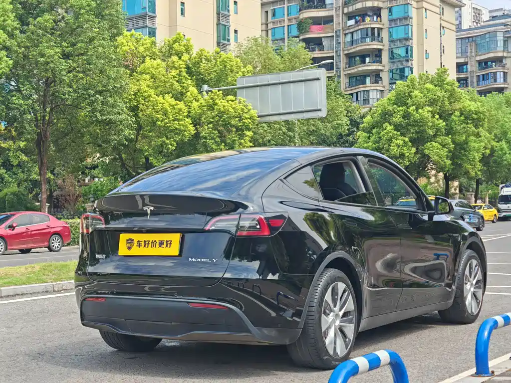 Tesla Model Y — миниатюра 11