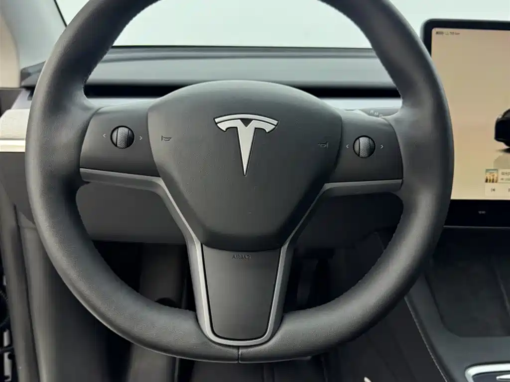 Tesla Model Y — миниатюра 10