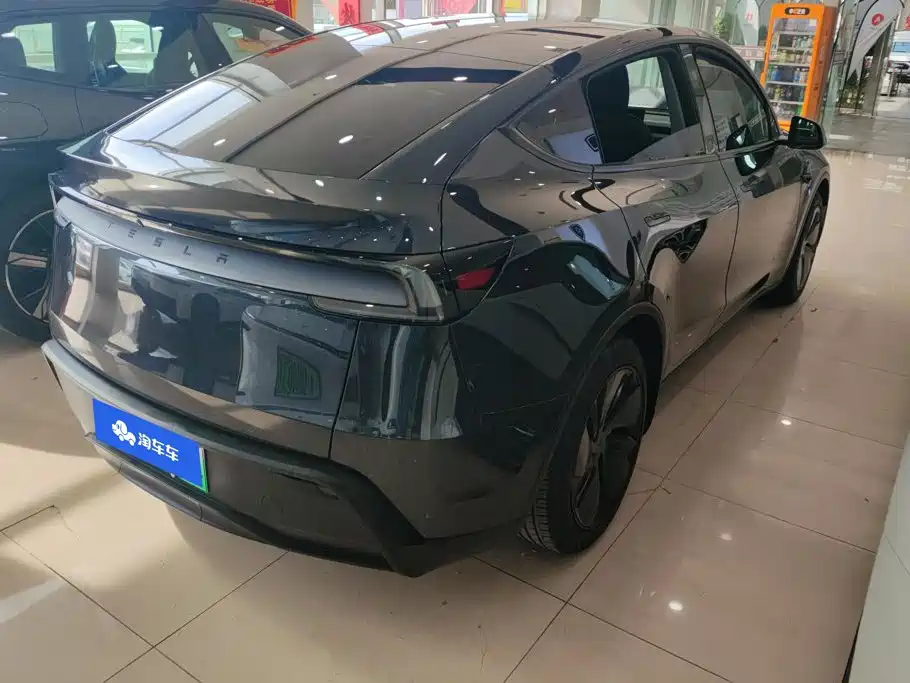 Tesla Model Y — миниатюра 3