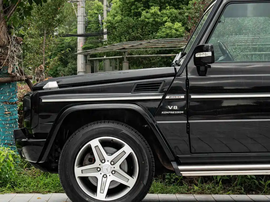 Mercedes-Benz G-Class A MG G AMG 2009 AMG G 55