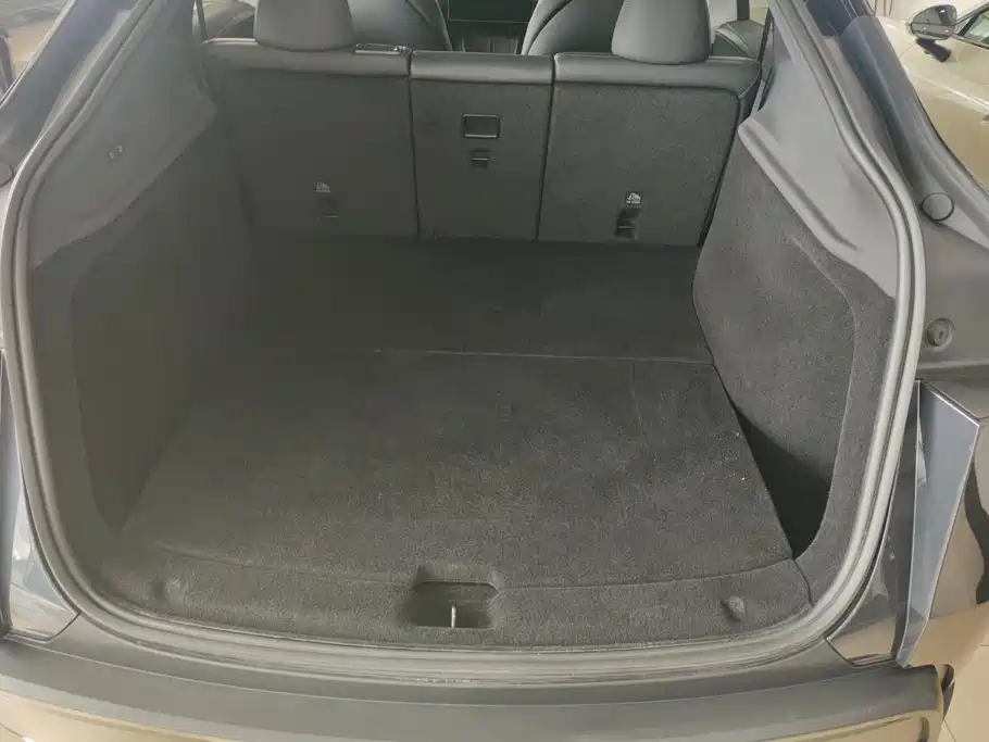 Tesla Model Y — миниатюра 4