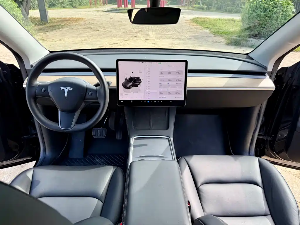 Tesla Model Y — миниатюра 10
