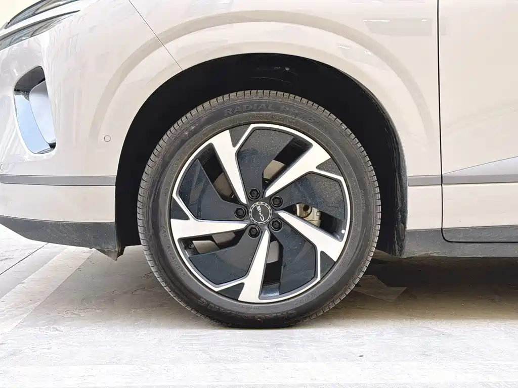 BYD Sealion 06 — миниатюра 4
