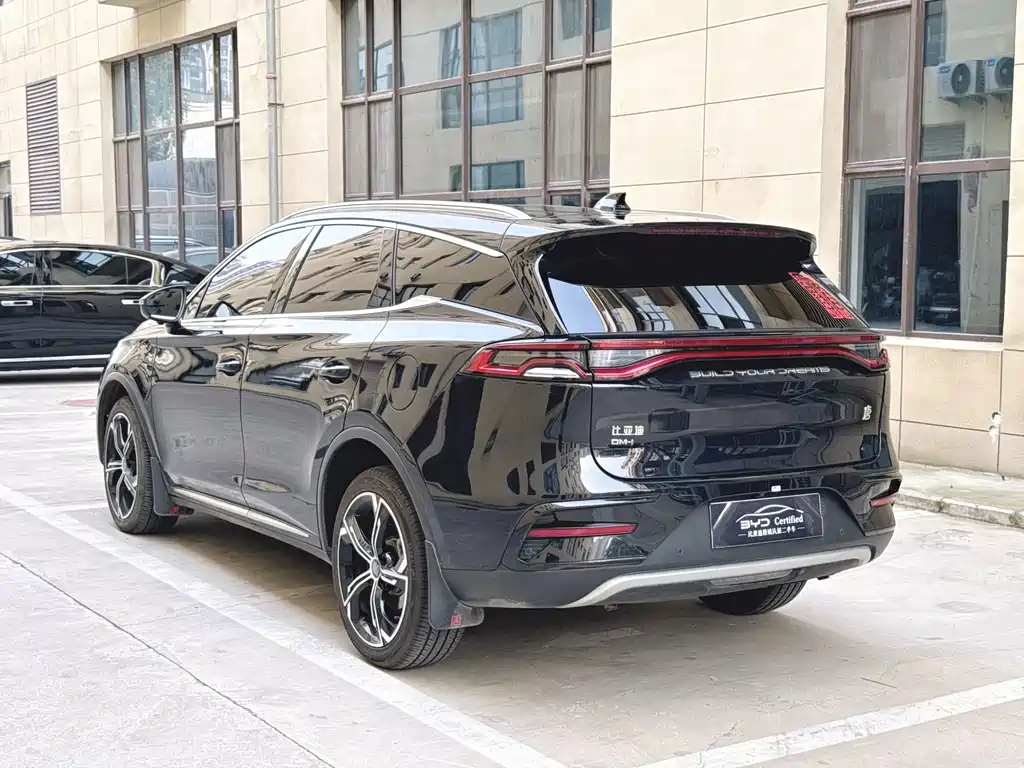 BYD Tang New Energy — миниатюра 8