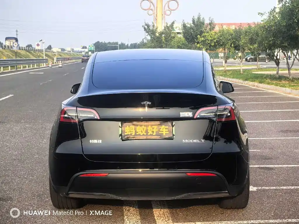 Tesla Model Y 2022 Performance