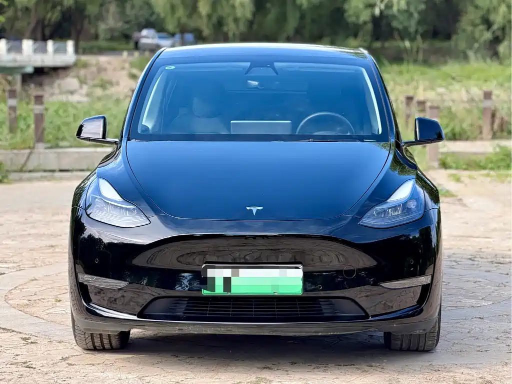 Tesla Model Y — миниатюра 2