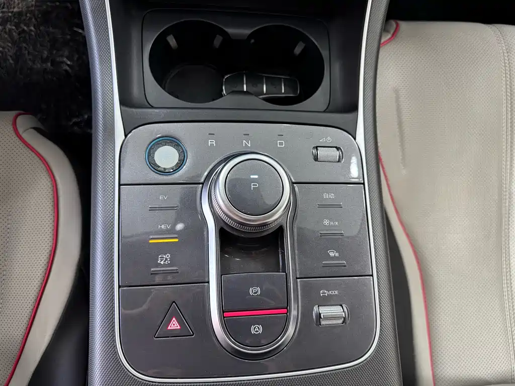 BYD Destroyer 05 2023 Champion DM-i 55KM Luxury