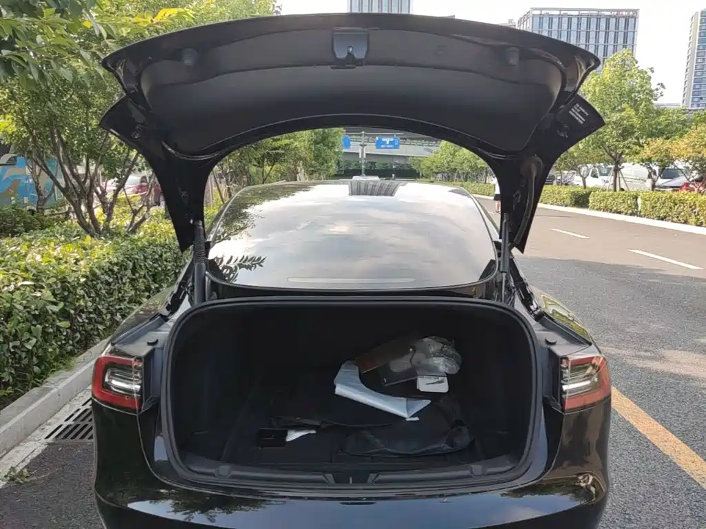 Tesla Model 3 — миниатюра 19