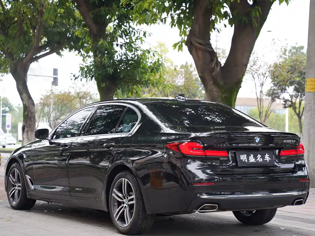BMW 5 Series — миниатюра 16