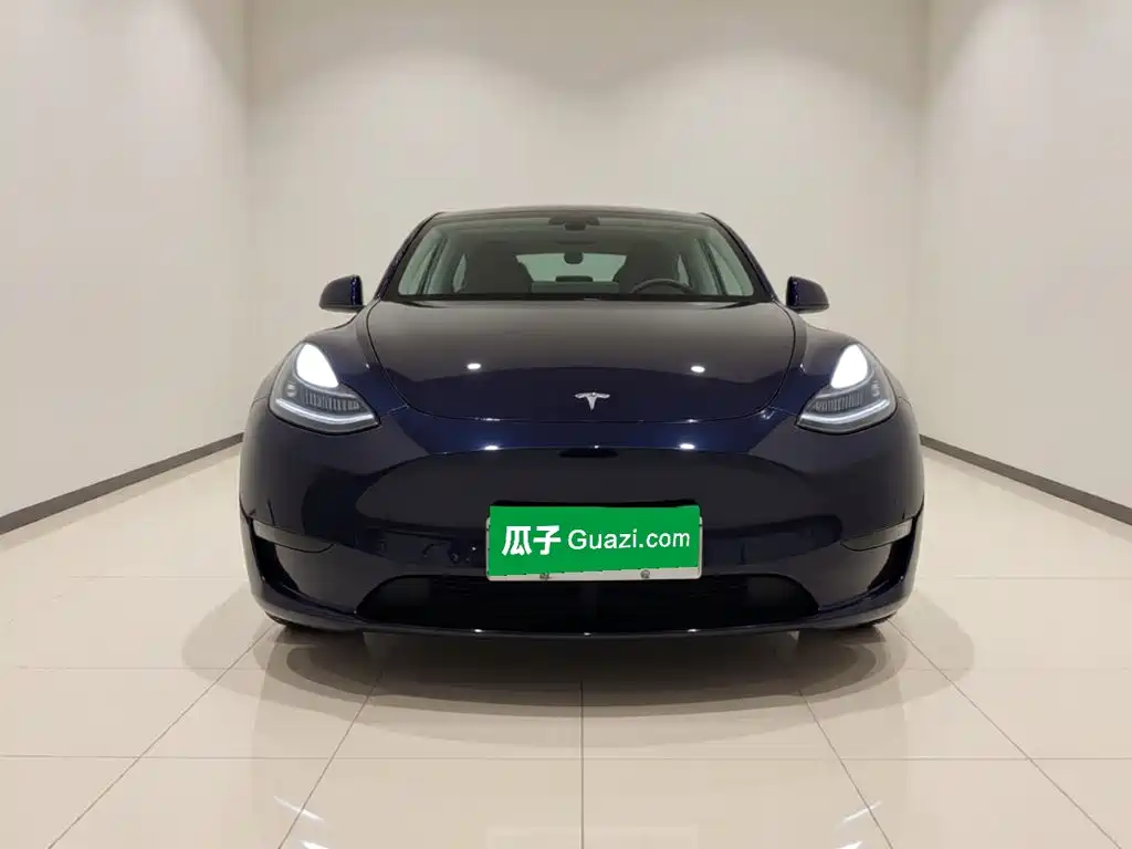 Tesla Model Y — миниатюра 2