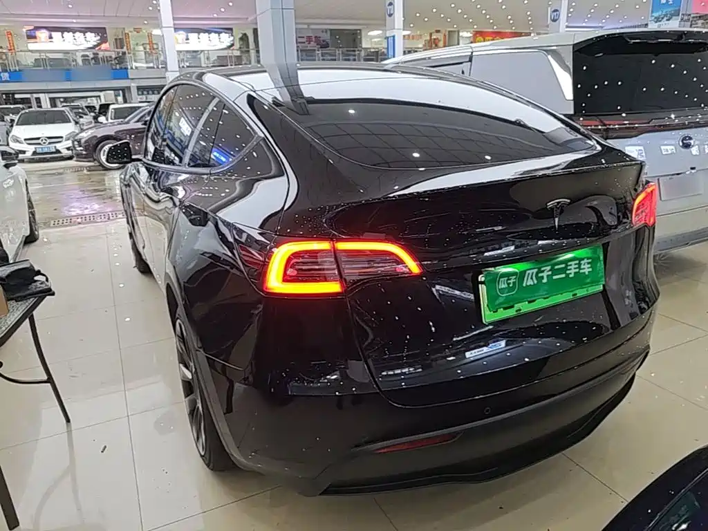 Tesla Model Y — миниатюра 5