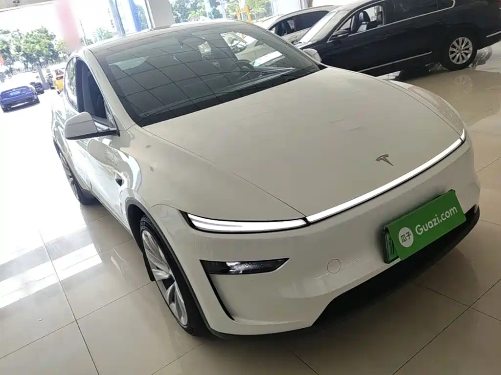 Tesla Model Y — миниатюра 4