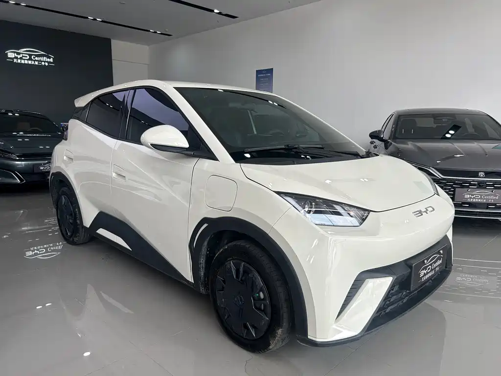 BYD Seagull — миниатюра 2