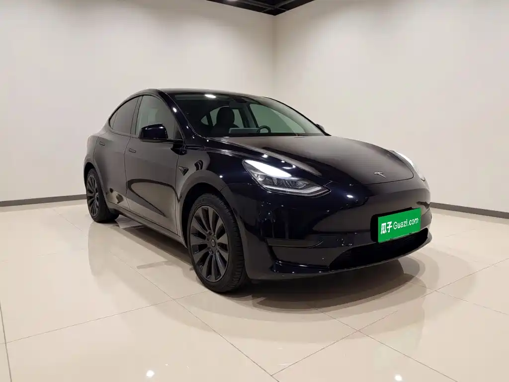 Tesla Model Y — миниатюра 3