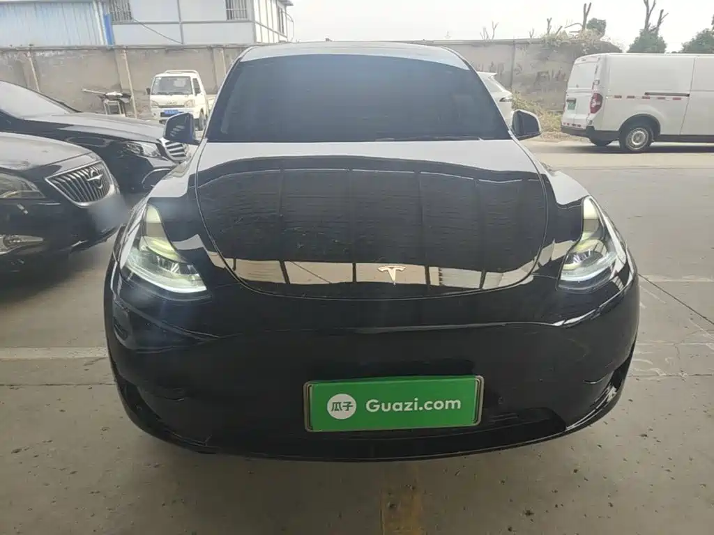 Tesla Model Y — миниатюра 3