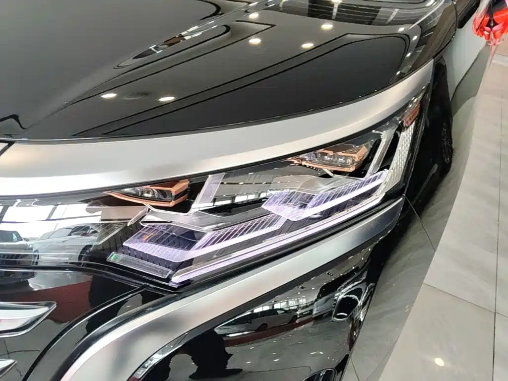 Denza Denza D9 — миниатюра 24