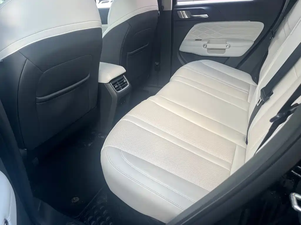 TANK TANK 300 NEW ENERGY