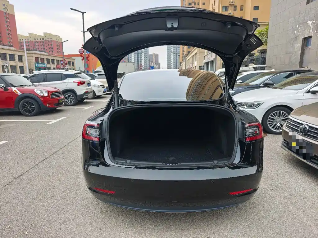 Tesla Model 3 — миниатюра 19