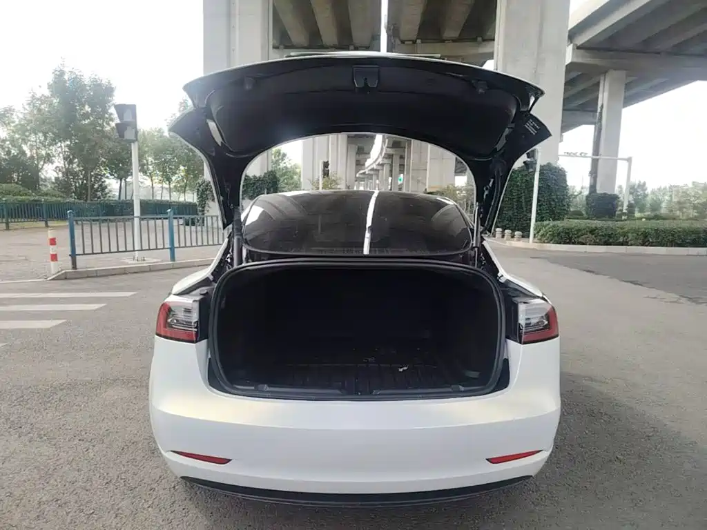 Tesla Model 3 — миниатюра 19