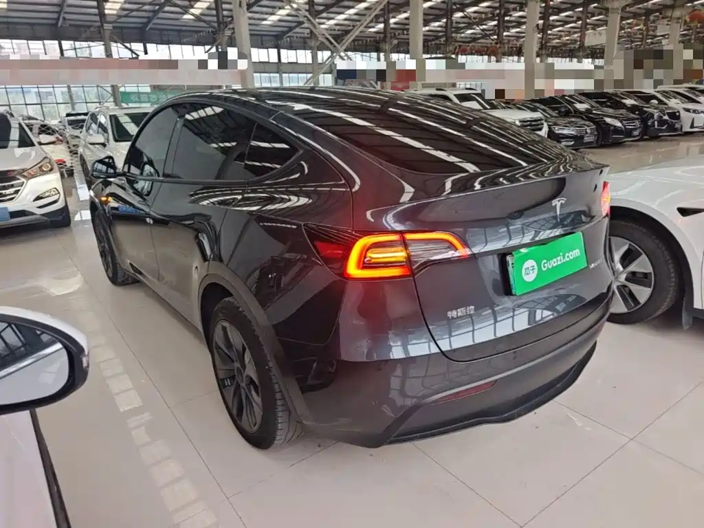 Tesla Model Y — миниатюра 5