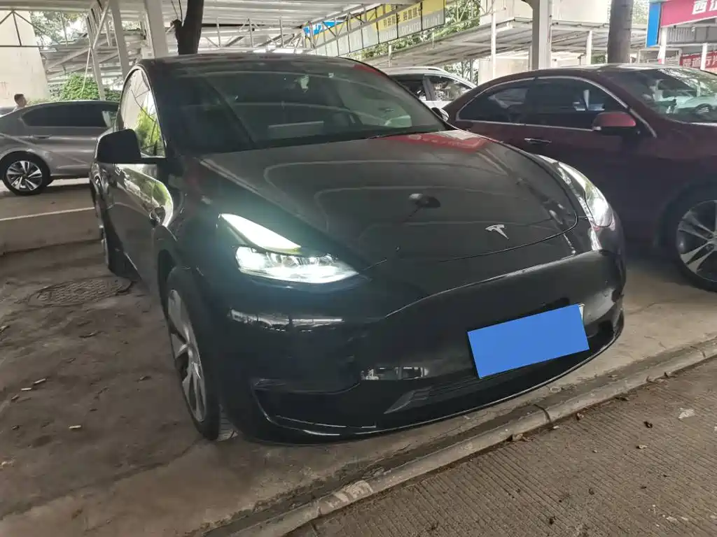 Tesla Model Y — миниатюра 3