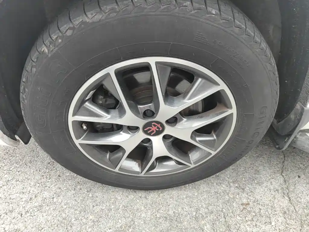 BYD Song — миниатюра 23