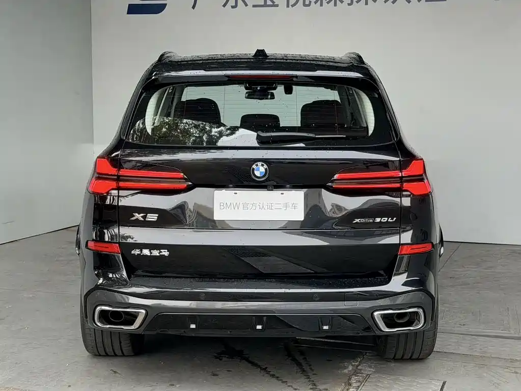 BMW X5 — миниатюра 9