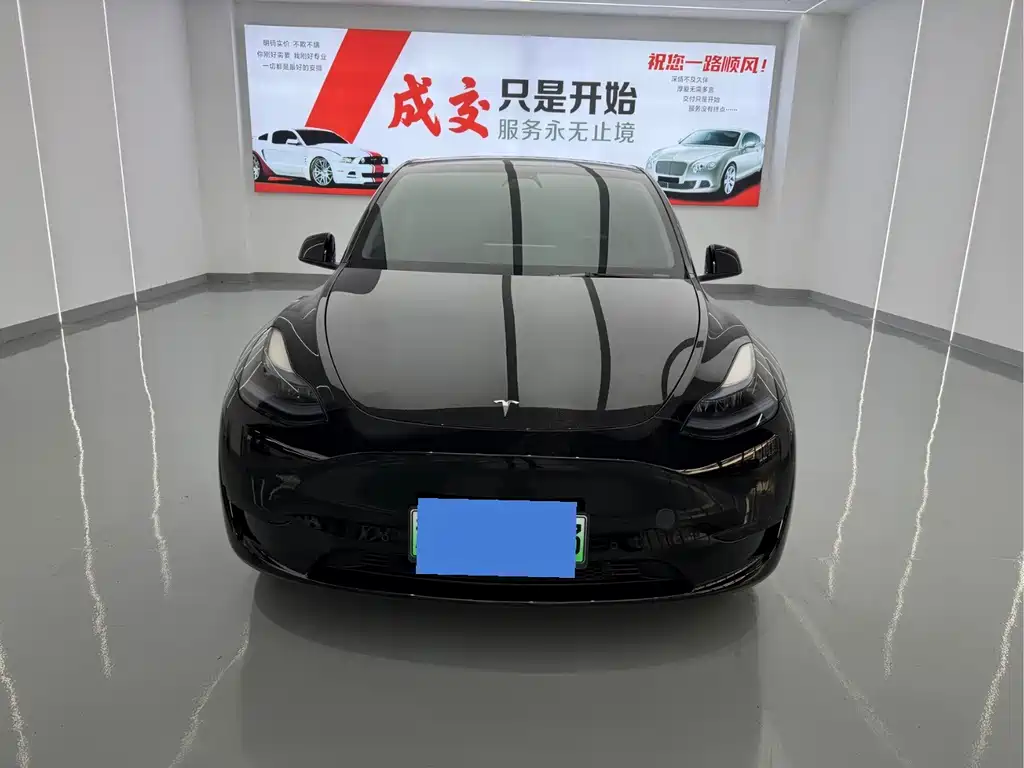 Tesla Model Y — миниатюра 2