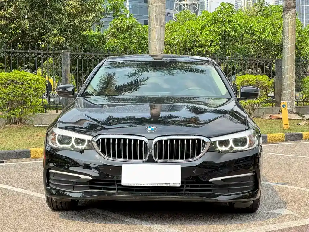 BMW 5 Series (Import) 2020