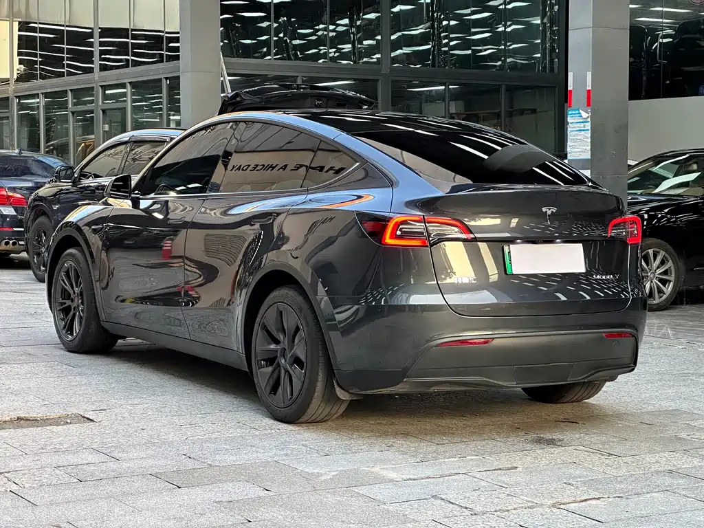 Tesla Model Y — миниатюра 14