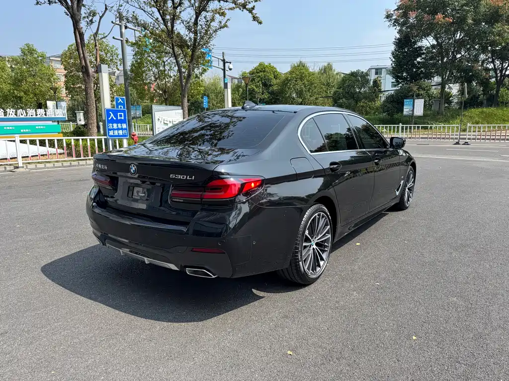 BMW 5 Series — миниатюра 5