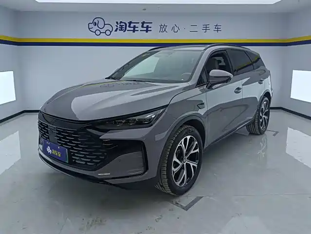 BYD TANGXIN ENERGY 2025