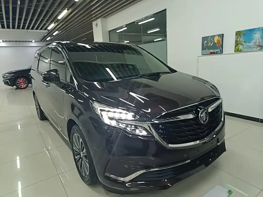 Buick GL8 — миниатюра 4