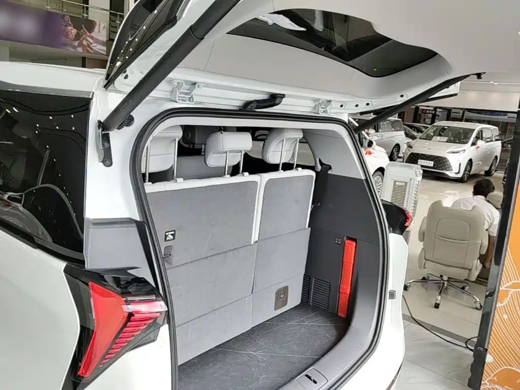 Buick GL8 — миниатюра 19