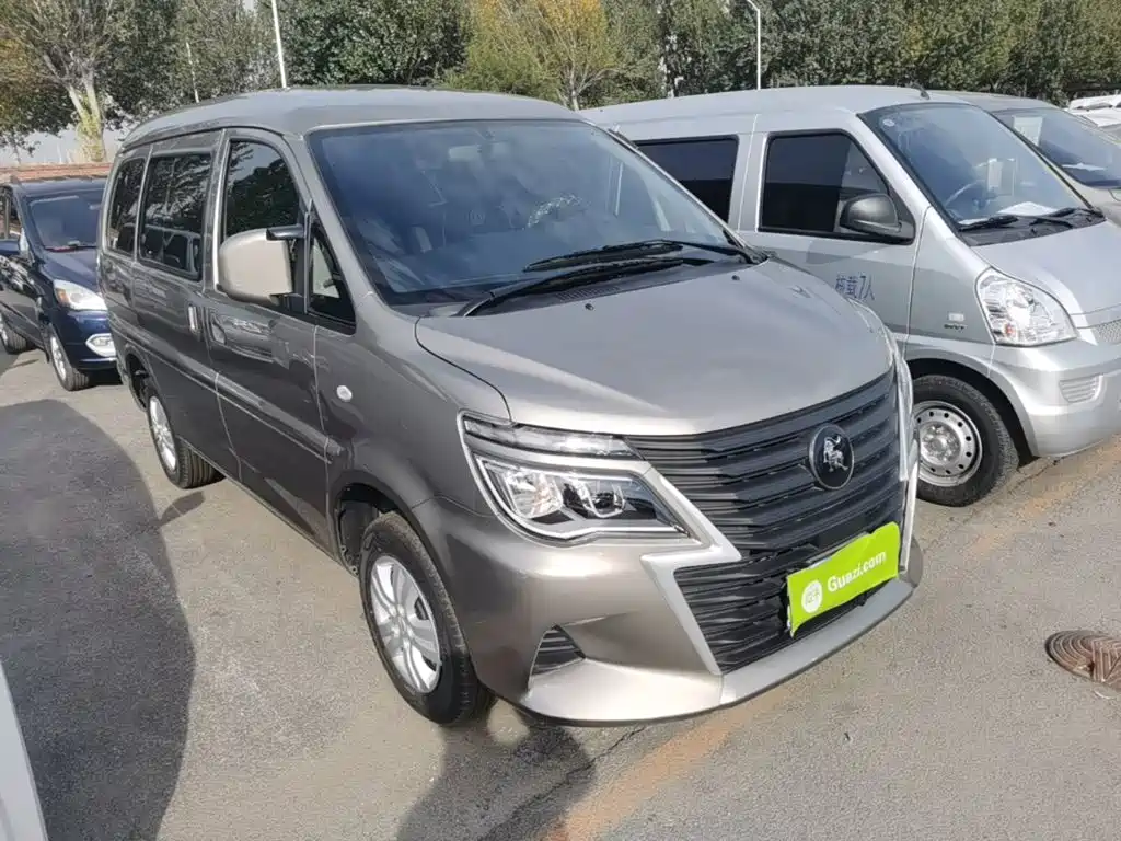 Fengxing Lingzhi — миниатюра 4