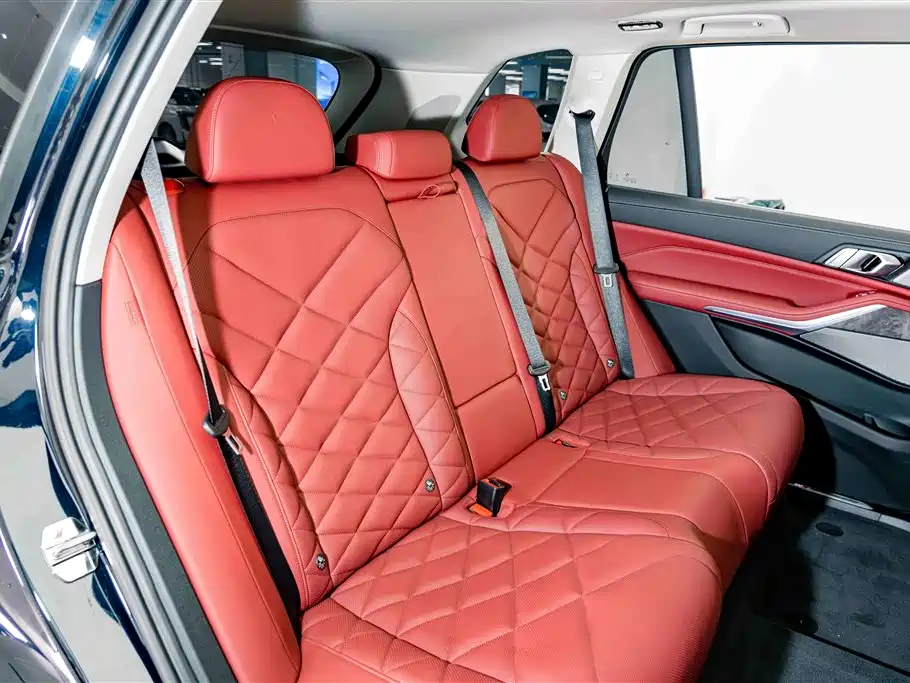 BMW X5 — миниатюра 24