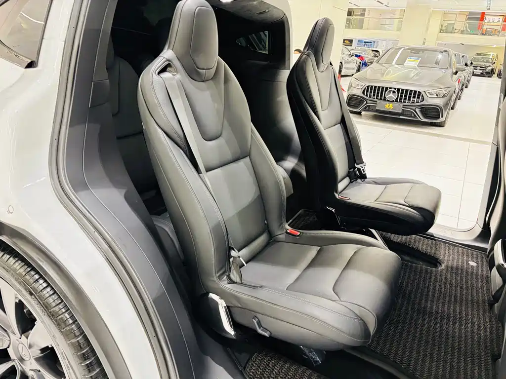 Tesla Model X — миниатюра 20