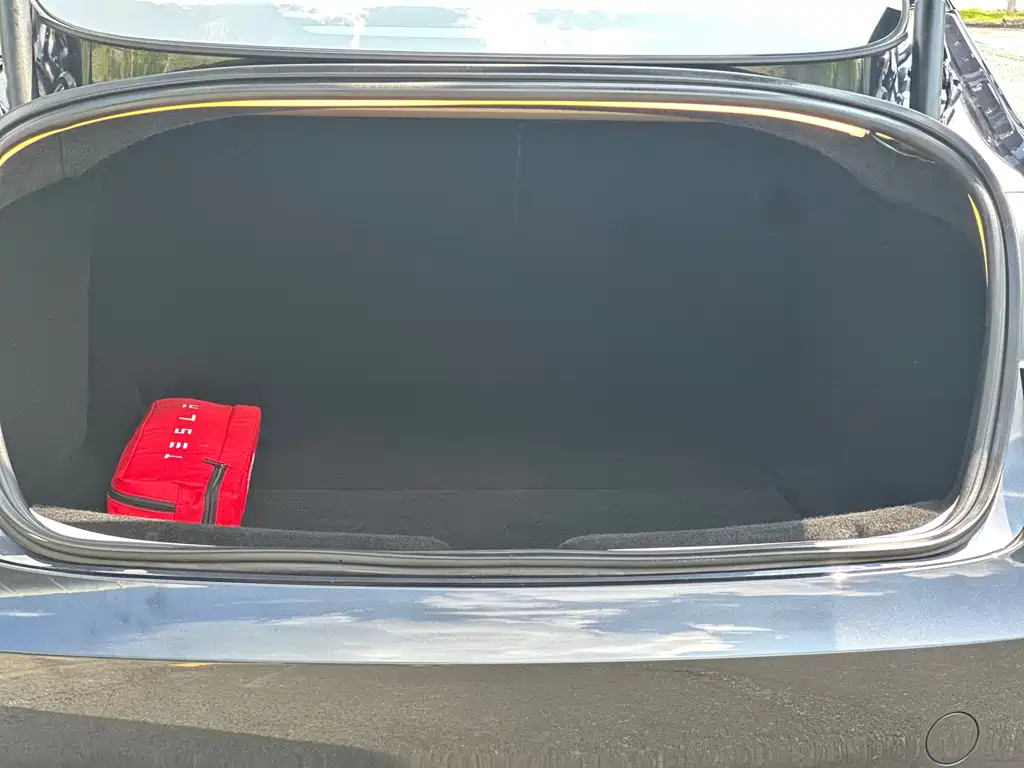 Tesla Model 3 — миниатюра 18