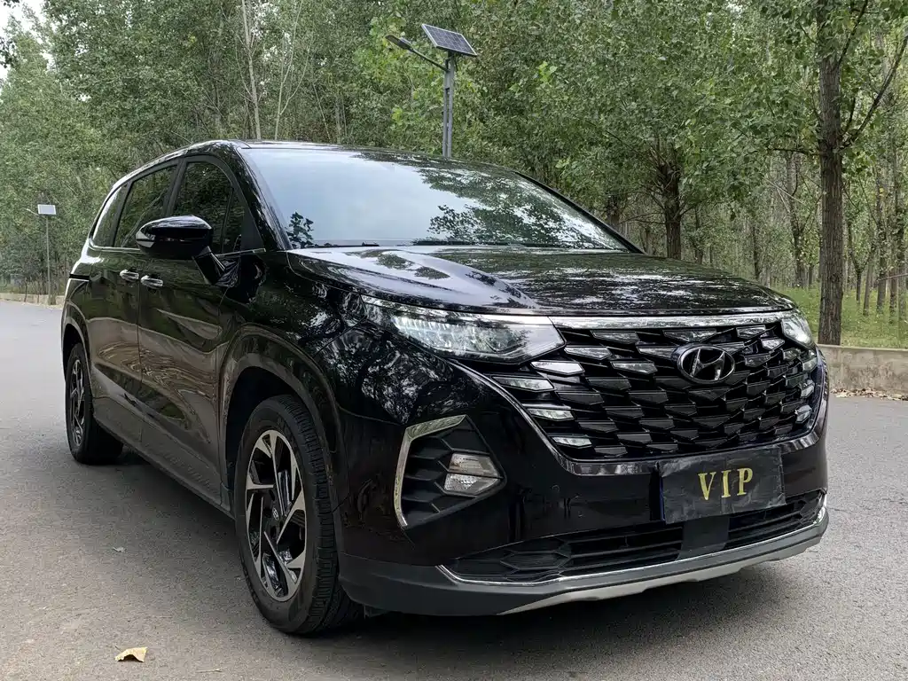 Hyundai Custo — миниатюра 3