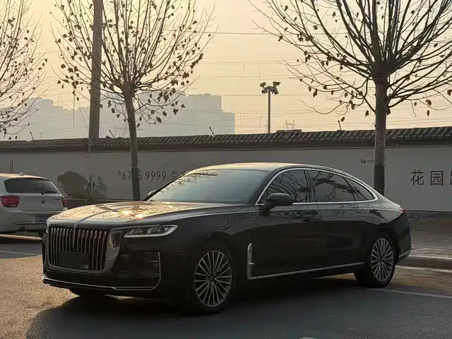 Hongqi HONGQI H9 2021