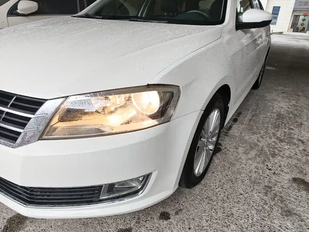 Volkswagen Gran Lavida — миниатюра 24