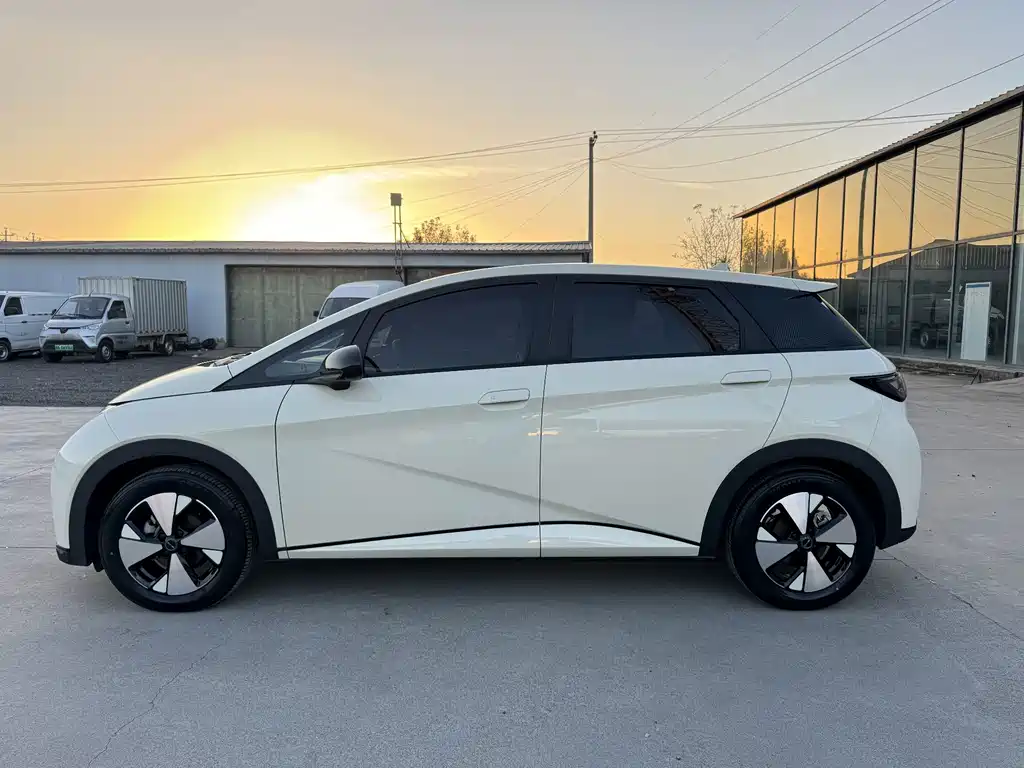 BYD Dolphin — миниатюра 5