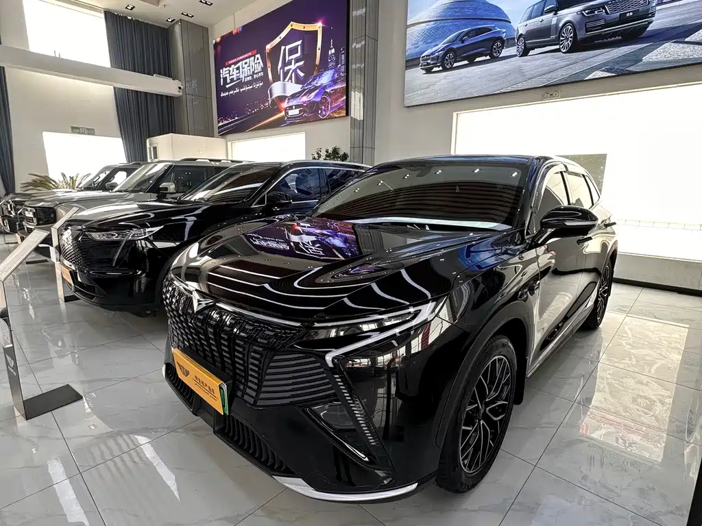 Cowin Kunlun Hybrid 2024