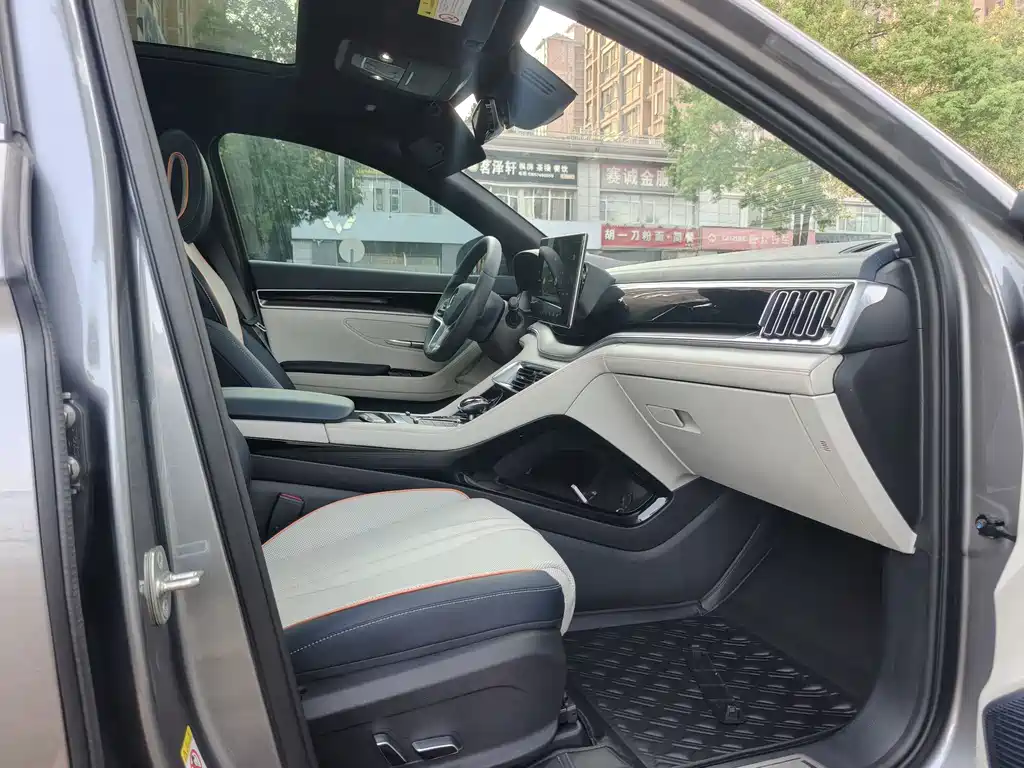 BYD PLUS New Energy — миниатюра 7