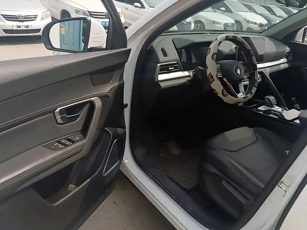 BYD Pro — миниатюра 16