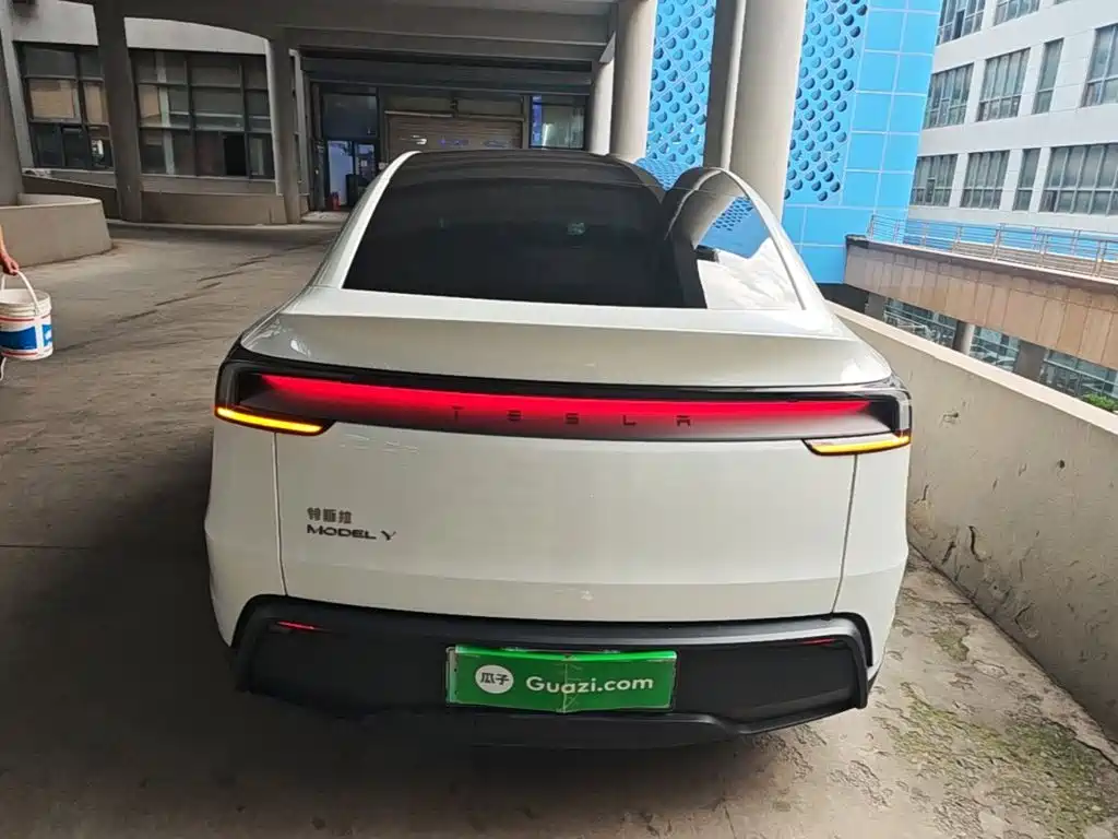 Tesla Model Y — миниатюра 6
