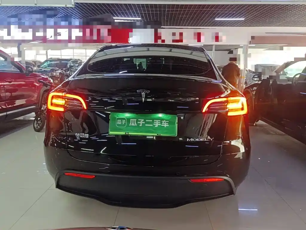 Tesla Model Y — миниатюра 6
