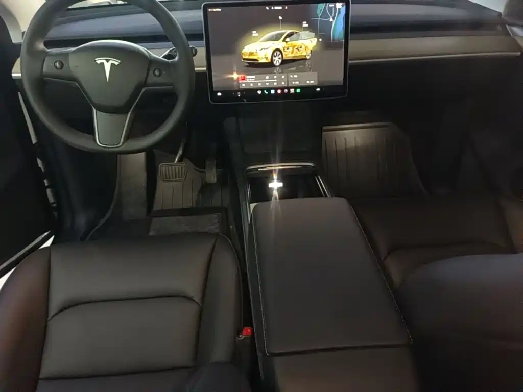 Tesla Model Y — миниатюра 10