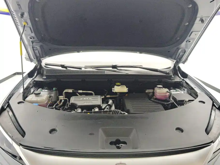 BYD Pro New Energy — миниатюра 10